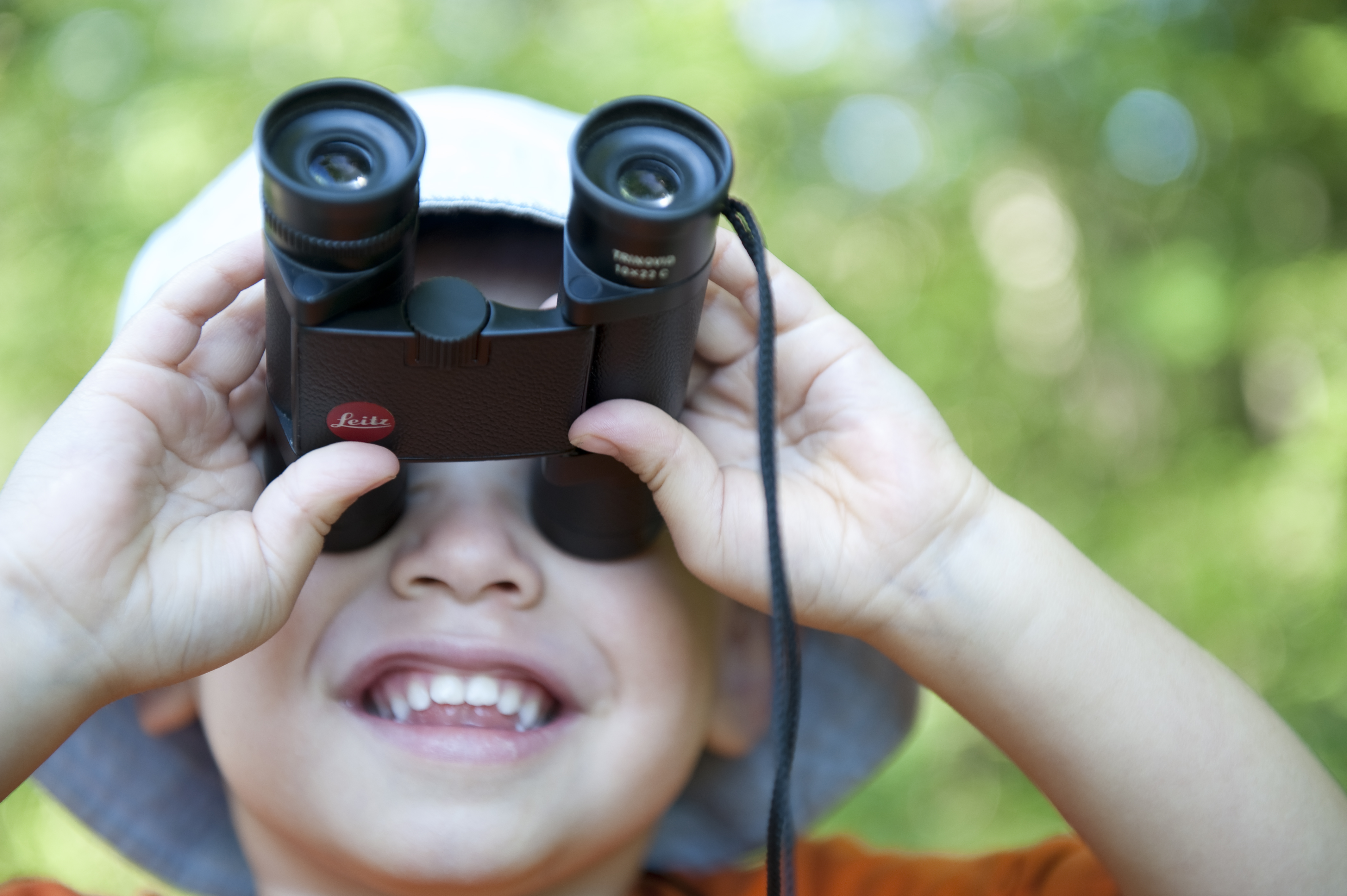 Coups de cœur par région du 29 avril
