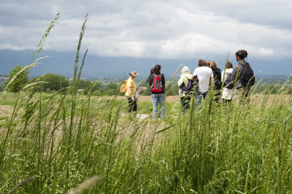 Groupe de personnes dans les herbes hautes pendant la Fête de la Nature. © La Salamandre