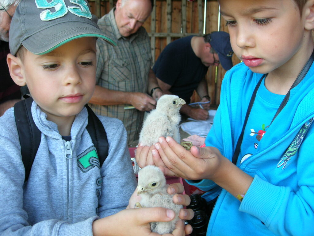 Enfants qui tiennent des oisillons dans leurs mains pendant la Fête de la Nature © Caroline Hefti