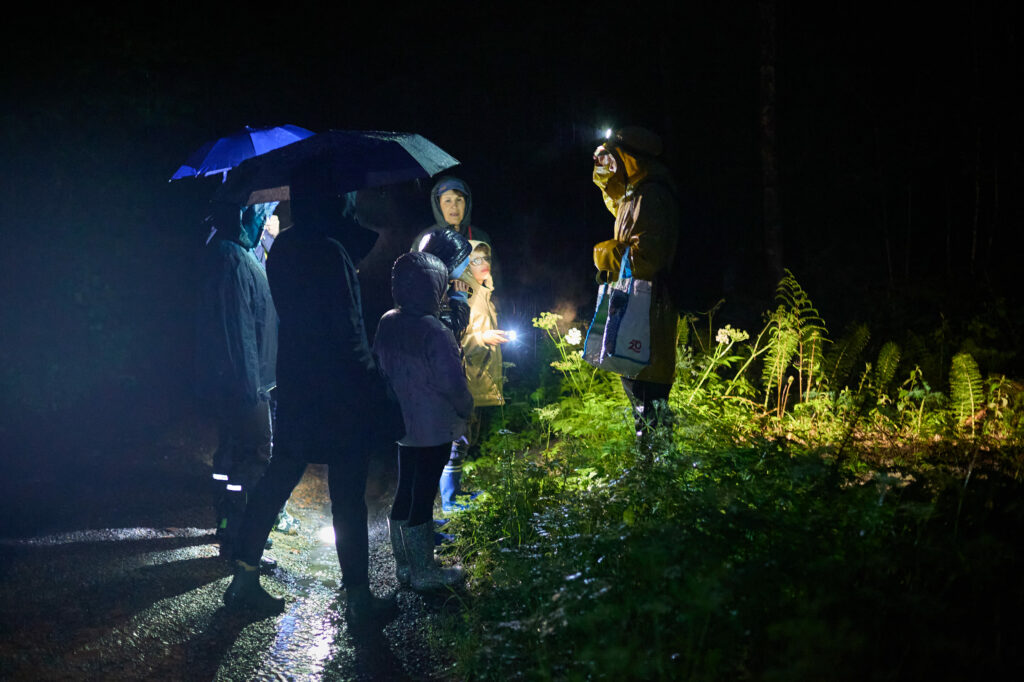 Groupe dans la nuit sous la pluie pendant la Fête de la Nature 2024 © Yann André