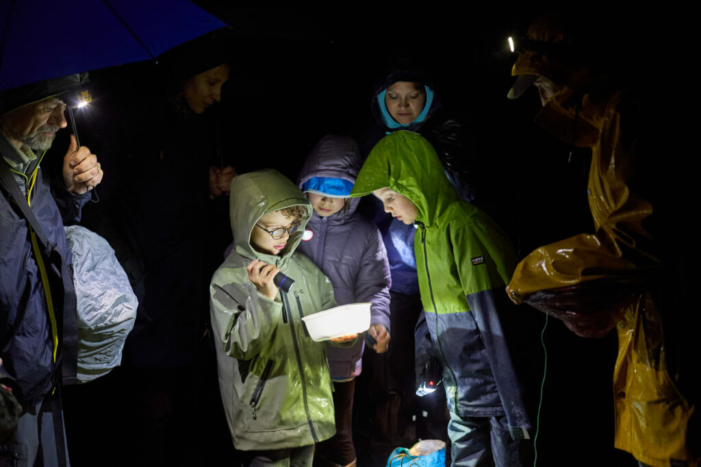 Groupe d'enfants dans la nuit avec une lampe de poche pendant la Fête de la Nature © Yann André