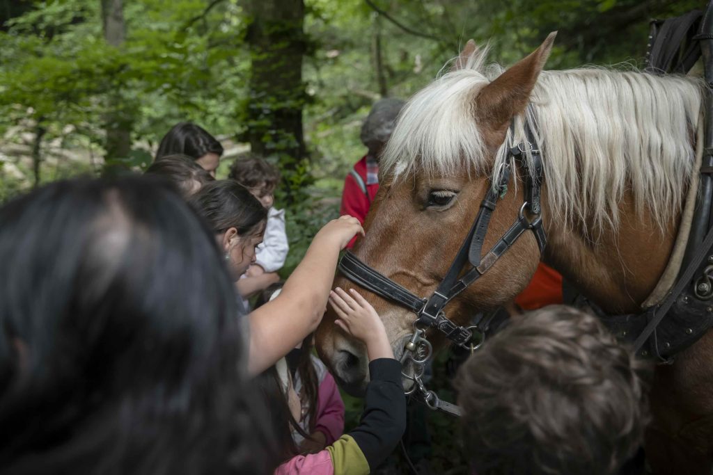 Enfants qui caressent un cheval pendant la Fête de la Nature ©Yves Leresch