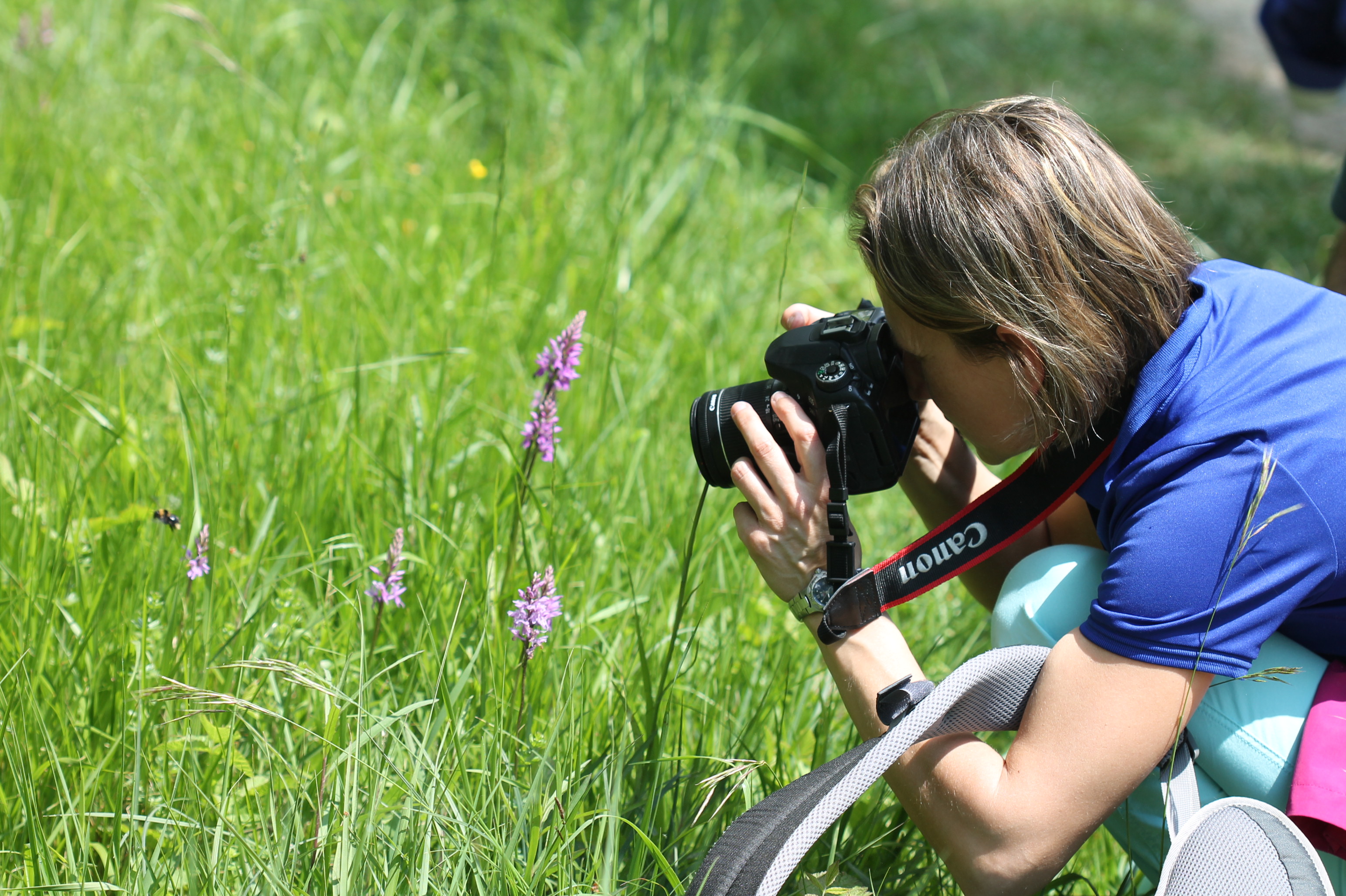 La prochaine édition de la Fête de la Nature se prépare!