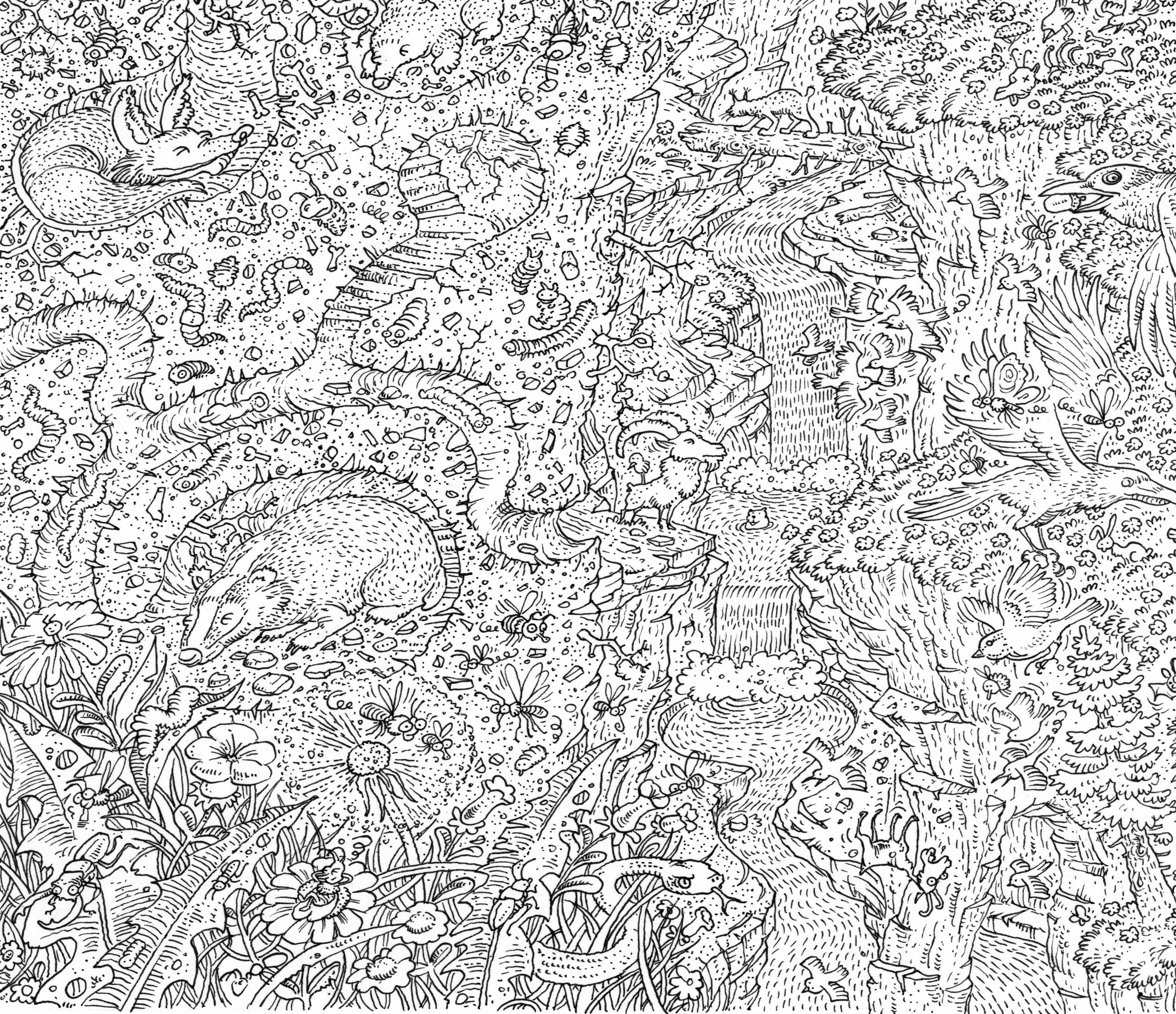 Le programme est en ligne!